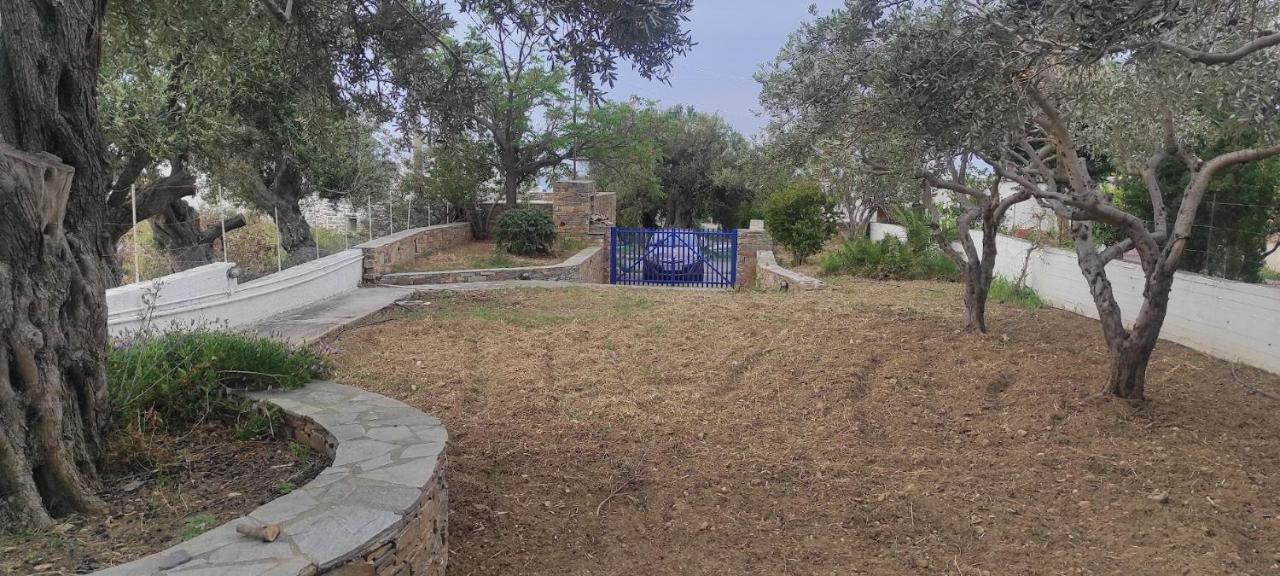 Chrysa'S Cottage House Karystos  Bagian luar foto