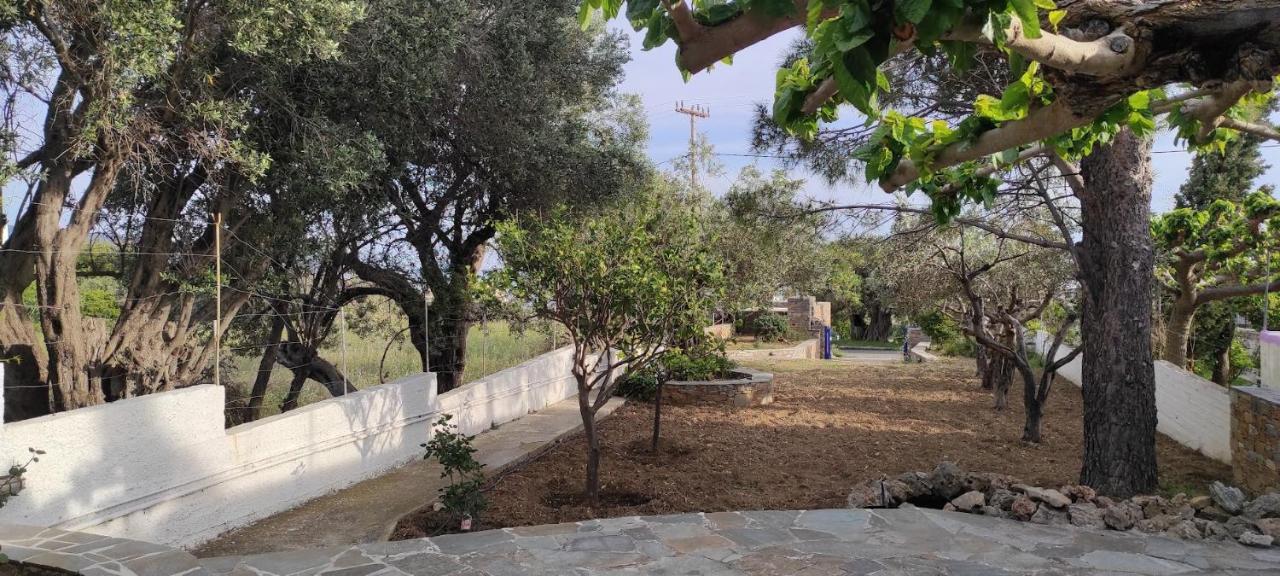 Chrysa'S Cottage House Karystos  Bagian luar foto