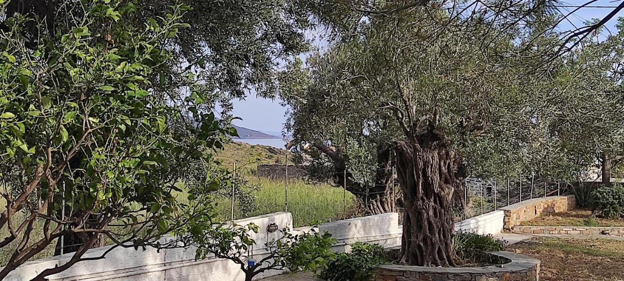 Chrysa'S Cottage House Karystos  Bagian luar foto